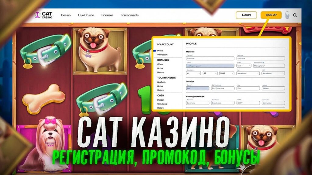 Регистрация, Промокоды, Бонусы CAT Casino